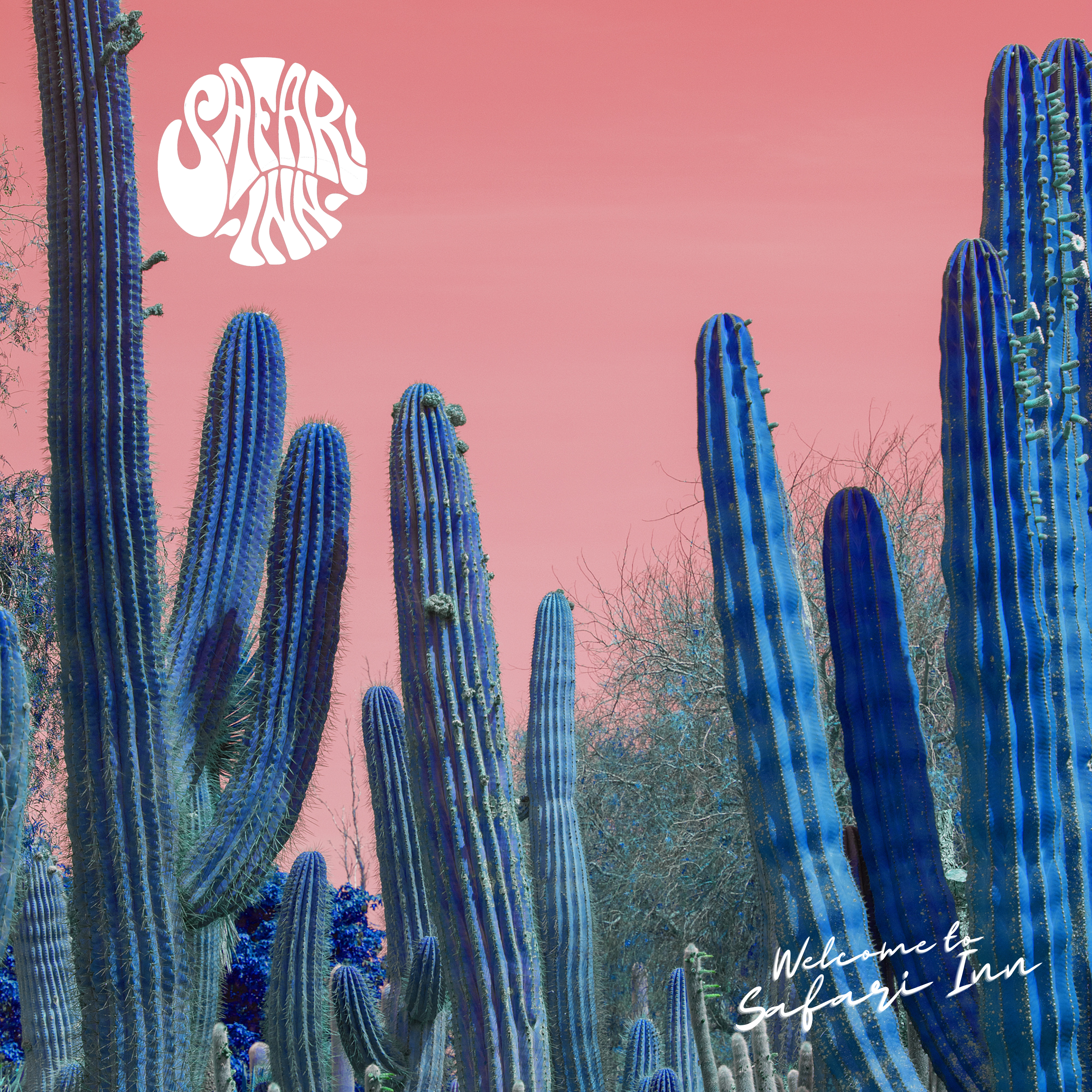 EP Review: Welcome to Safari Inn by Safari Inn