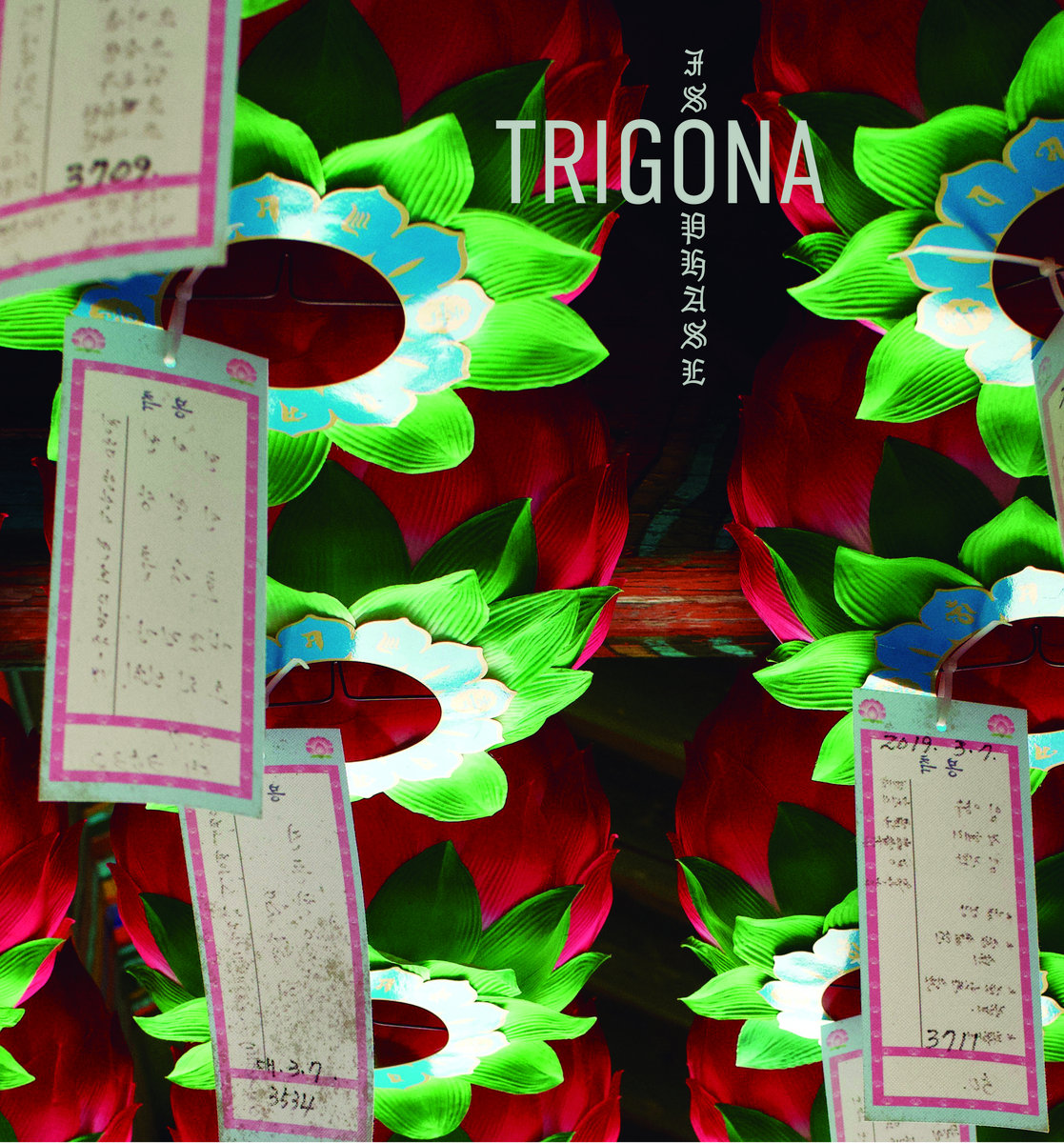 Album Review: Isophase by Trigona