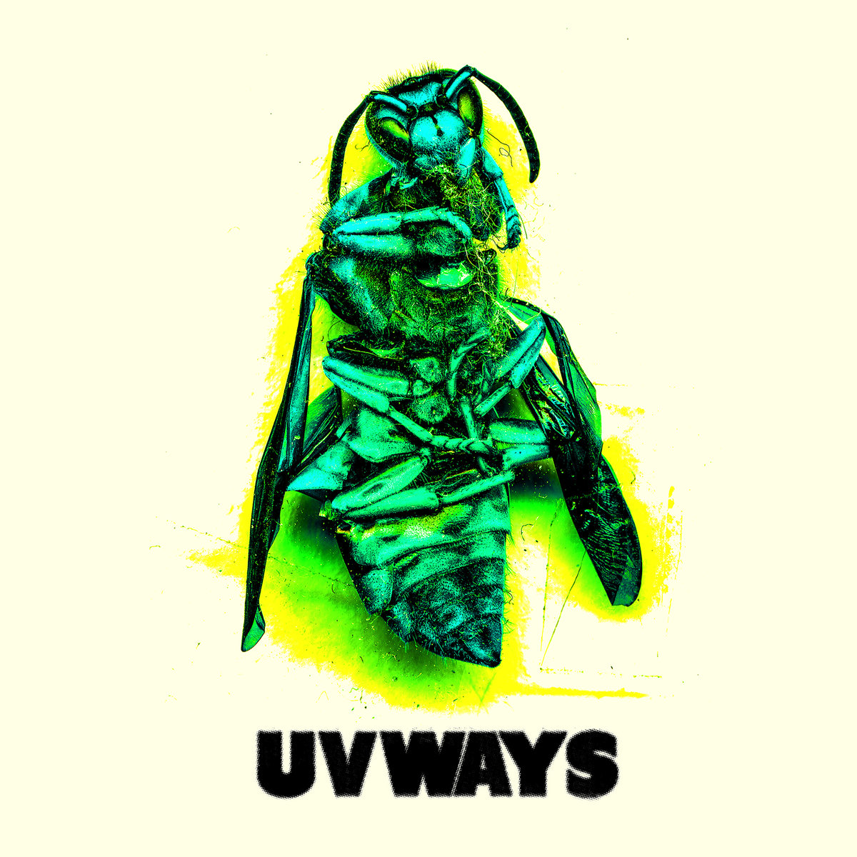 Chasing The Rat by UVWAYS