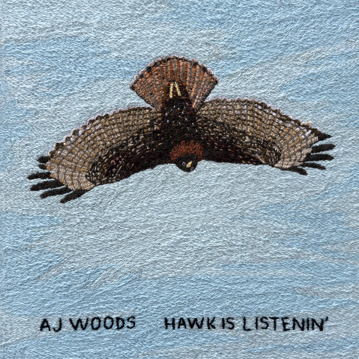 Hawk Is Listenin’ by AJ Woods