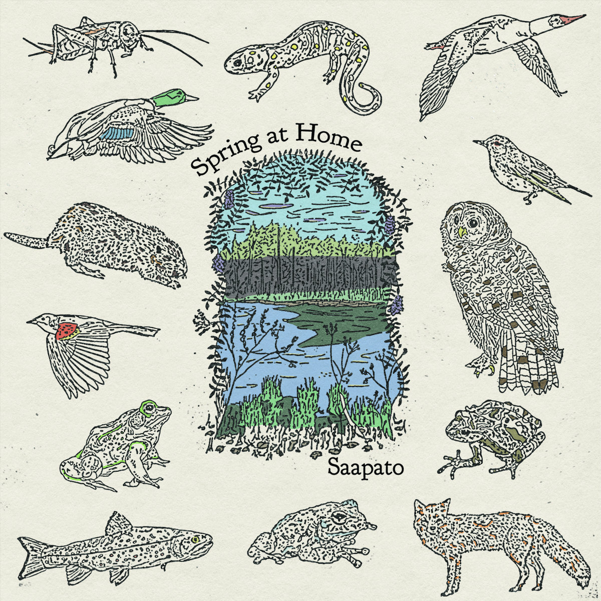 Spring at Home by Saapato