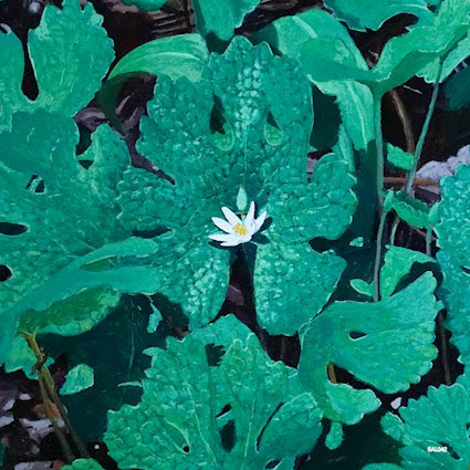 Wetland Interiors by Early Fern