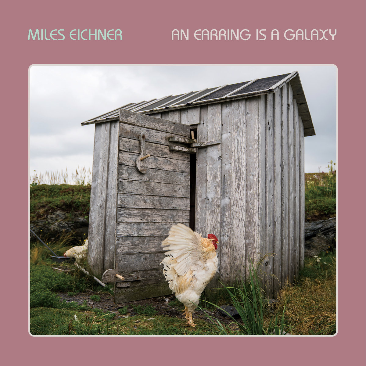 An Earring Is A Galaxy by Miles Eichner