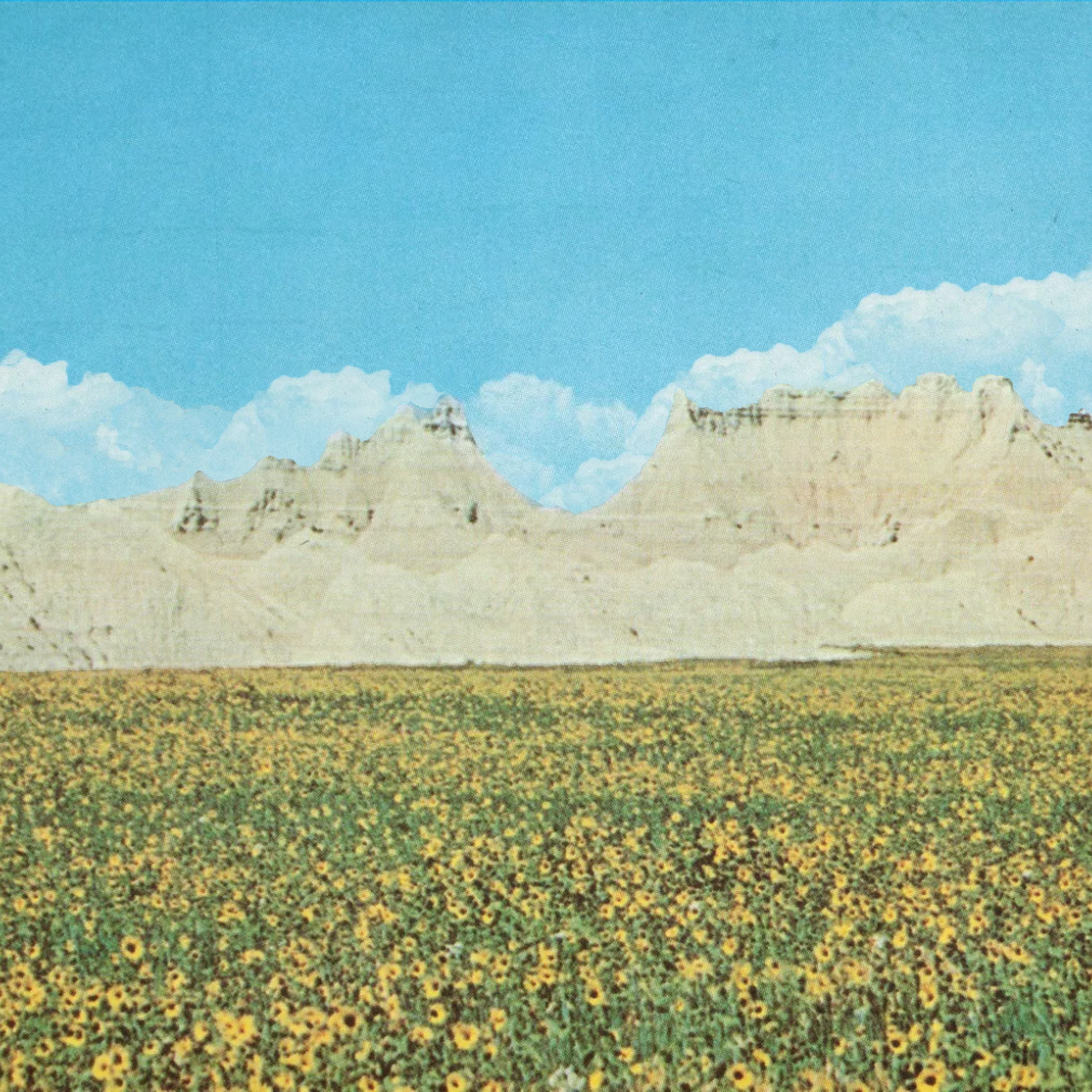 Dreams of a Sunflower River by Black Brunswicker