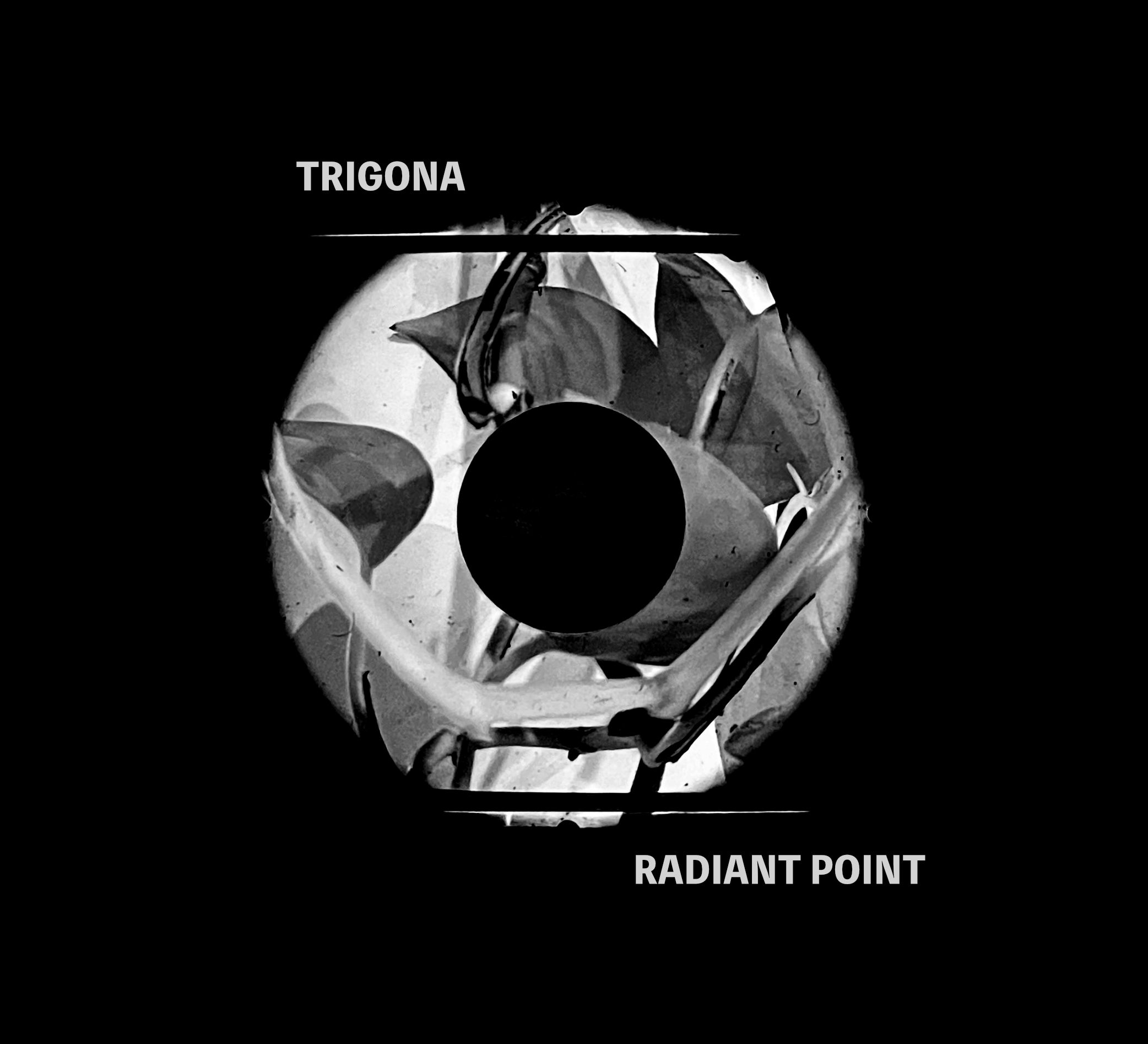 Radiant Point by Trigona